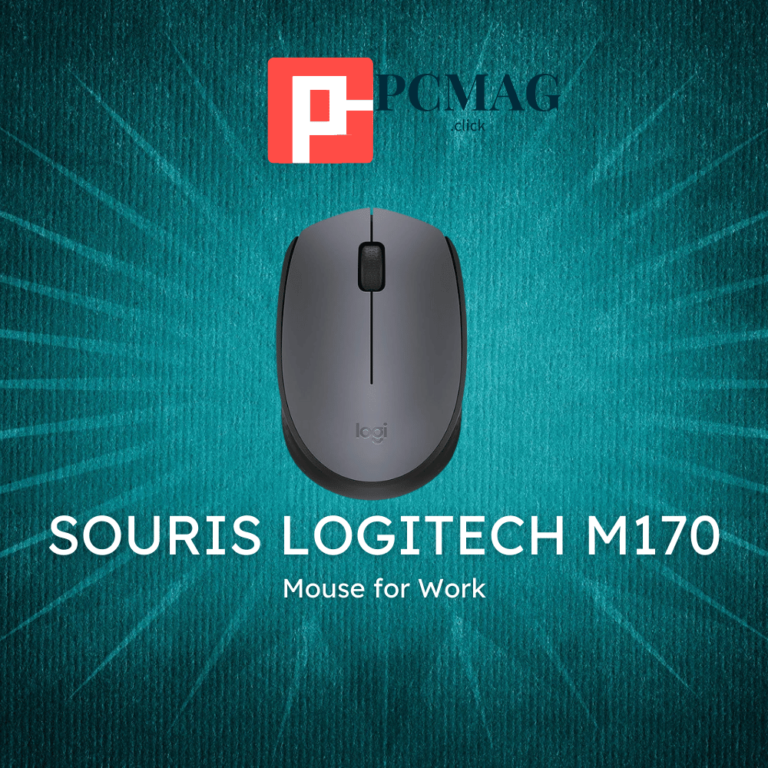 Logitech Souris sans fil M170, 2,4 GHz avec nano-récepteur USB, suivi optique, autonomie de 12 mois, ambidextre, PC/Mac/ordinateur portable, noir/gris